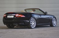 /album/galeria-de-fotos/jaguar-640x408-jpg/